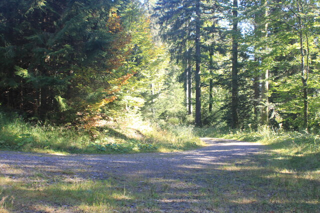 Kurve im Dreibrunnenweg (Sharp bend in Dreibrunnenweg track)