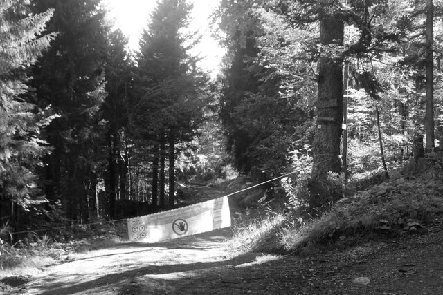 Wegen Holzeinschlags gesperrter Waldweg (Forest track closed due to logging)