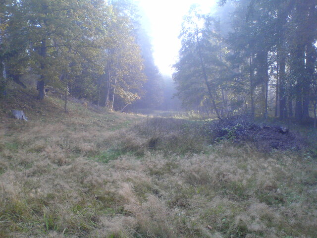 Im Gutachtal an einem dunstigen Morgen (In the valley of the Gutach river on a misty morning)
