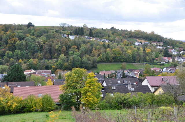 Weingarten: Blick zum Kirchberg