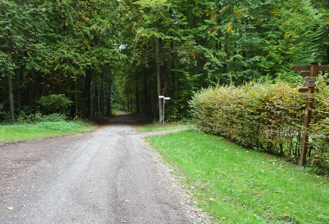 Spechbach: Hauptweg