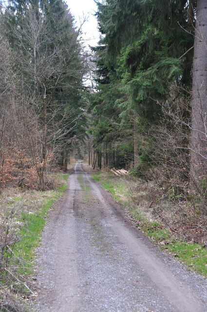 Gärtringen: Waldgebiet "Edelburg"