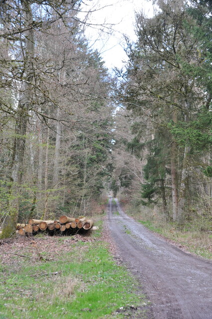 Gärtringen: Waldgebiet "Edelburg"