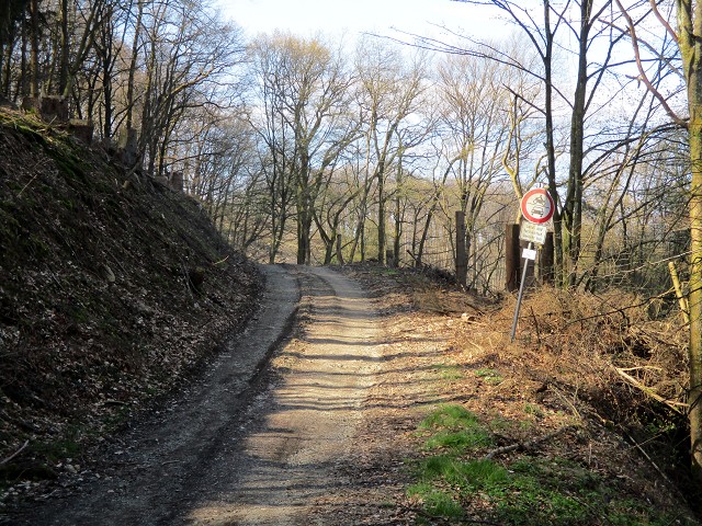 Wipperfürth, Waldweg an der Großen Dhünn