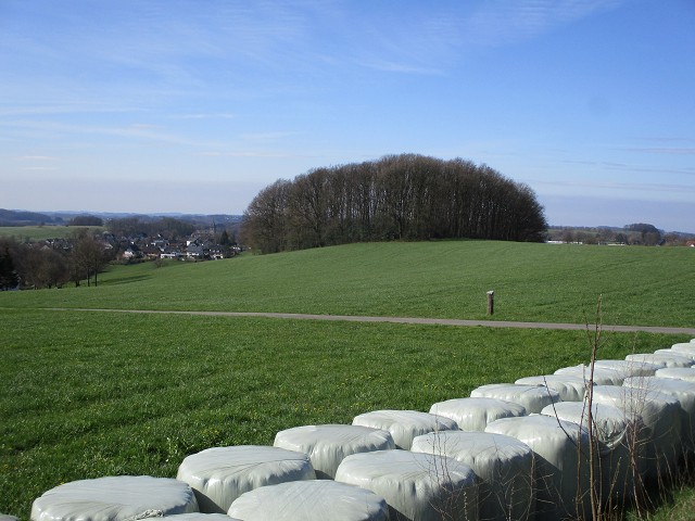 Wipperfürth, Landschaft bei Oberholl