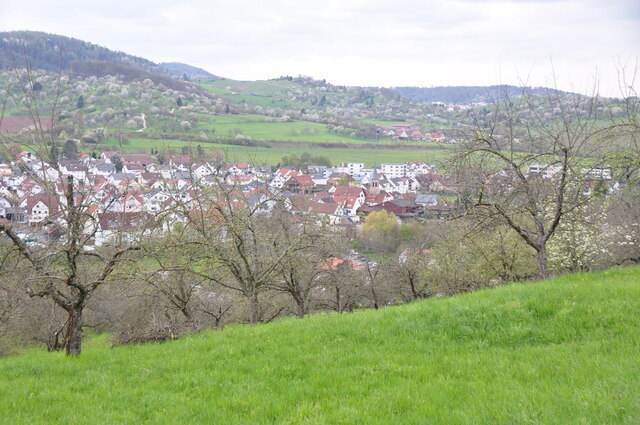 Birkmannsweiler: Flur "Eichholz"