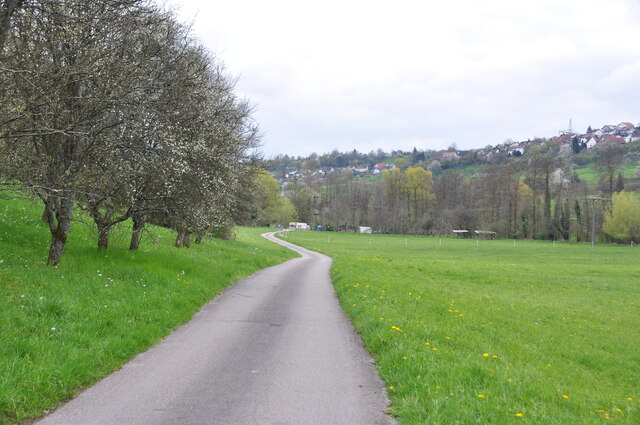 Birkmannsweiler: Flur "Baurenwiesen"