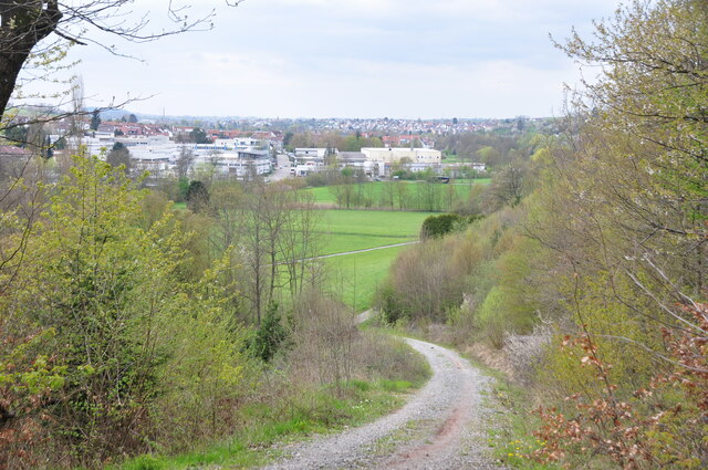 Birkmannsweiler: Waldgebiet "Bangert"
