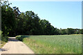 UND6914 : Feld am Weg von Otze in Richtung Sorgensen (Field alongside a track from Otze towards Sorgensen) by Schlosser67