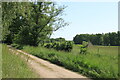 UND6916 : Feld und Weg am Hechtgraben bei Otze (Field and track alongside Hechtgraben ditch near Otze) by Schlosser67