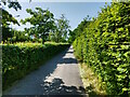 UPV6387 : Fußweg an der Eschenauer Str. in Kotzenhof by Günter G