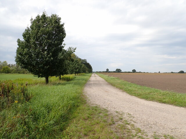 Feldweg zur K 121 (Farm track towards district road K 121)