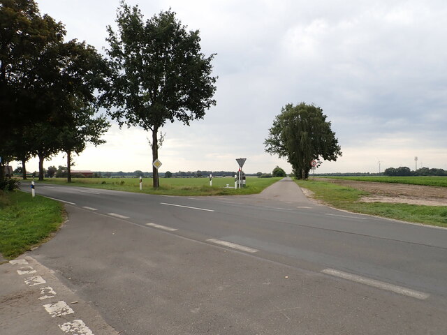 Fahrweg von der K 121 nach Südwesten (Minor road leading southwest from district road K 121)