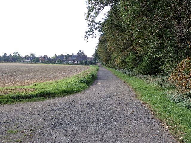 Feldweg nach Gümmer am Waldrand entlang (Farm track towards Guemmer village along the forest edge)