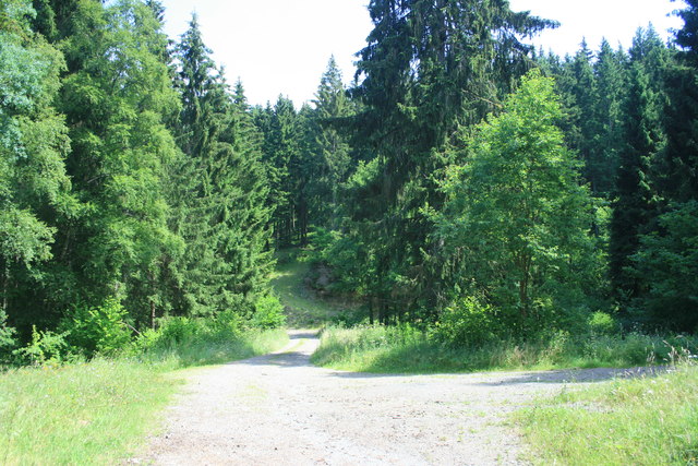 Waldwegkreuzug