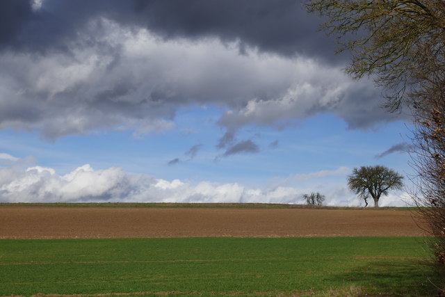 Felder nordöstlich von Bad Wimpfen