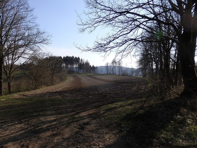 Frisch gedüngtes Feld über der Sengenau, Drolshagen