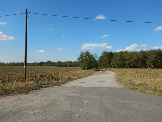 Klieken - Feldweg
