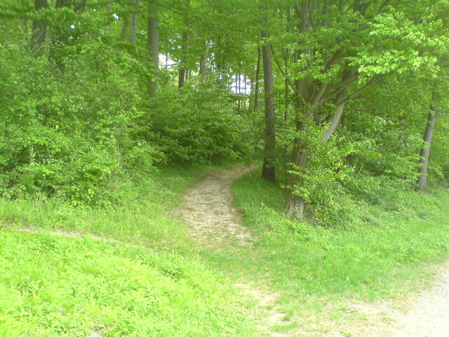 Roswitha-Weg bei Springe (Roswitha hiking trail near Springe)