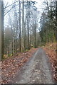 UMV6808 : Dennach: Waldgebiet "Hag" by Andreas Gmelin-Rewiako